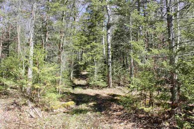 0 Schmidt Rd, Andover, VT 05143 - photo 2