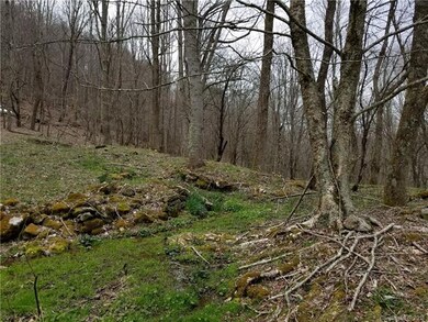 10 Acres Lickskillet Rd unit 5 & 9, Cane River, NC 28714 - photo 3