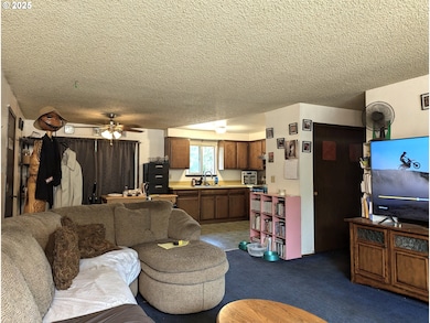 47696 W 1st St, Oakridge, OR 97463 - photo 3