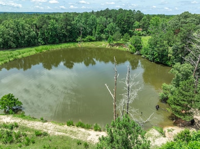 588 Wpa Rd, Sumrall, MS 39482 - photo 6