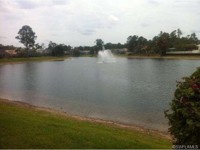 Back Yard View