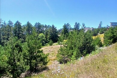 looking NW from East border of lots