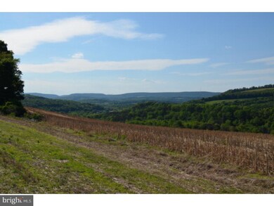 115 Tunnel Rd, Auburn, PA 17922 - photo 2