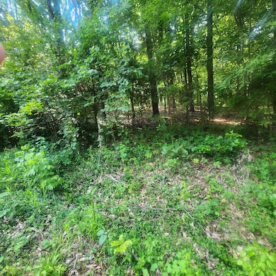 L-25 B-7 Navajo Trace, Cherokee Village, AR 72529 - photo 3