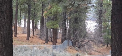 39731 Lakeview Dr, Big Bear Lake, CA 92315 - photo 3