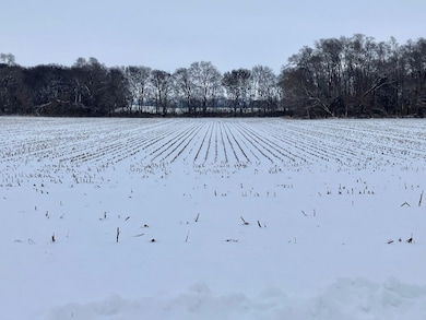 403 E 2nd St, Tampico, IL 61283 - photo 2