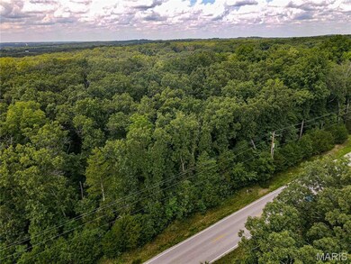 1855 Hendricks Rd, Robertsville, MO 63072 - photo 5