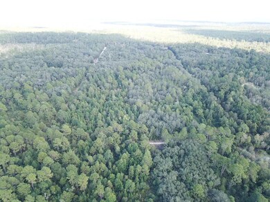 land view
