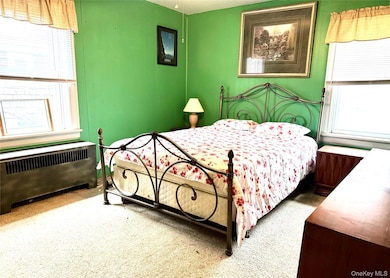 Bedroom with multiple windows, carpet, and radiator