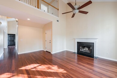 Wood burning fireplace