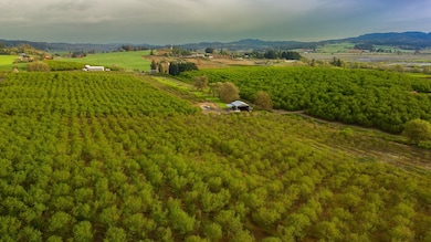 11706 SW Spring Hill Rd, Gaston, OR 97119 - photo 4