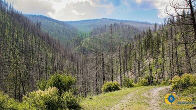 0 Swamp Creek Rd unit 25712607, Plains, MT 59859 - photo 2