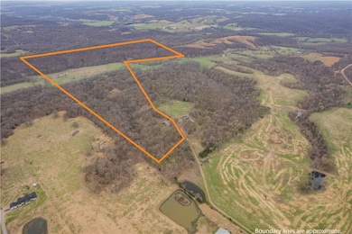 Aerial view of the property looking southeast (hom