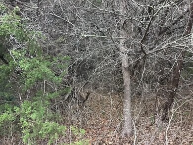 33034 Woodcrest Dr, Whitney, TX 76692 - photo 4