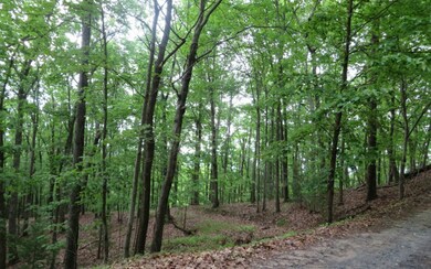 Additional View