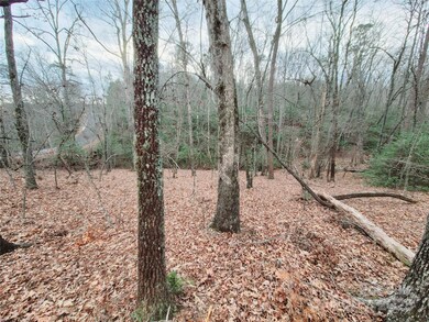 000 Birddog Blvd unit 328, Lake Lure, NC 28746 - photo 3