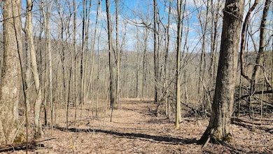 CT-3