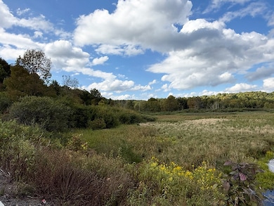 L 7 Thayer Rd & St Hwy 80, Hartwick, NY 13348 - photo 3