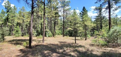 2250 S Trillium Ln, Show Low, AZ 85901 - photo 3