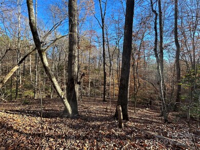 0 Polk County Line Rd unit CAR4322658, Rutherfordton, NC 28139 - photo 5