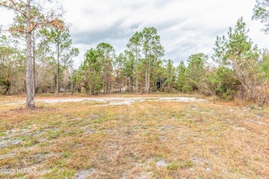 13121 NE 235th Ct, Raiford, FL 32083 - photo 3