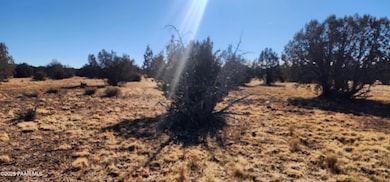 251 Se4 Juniperwood Ranch, Ash Fork, AZ 86320 - photo 4