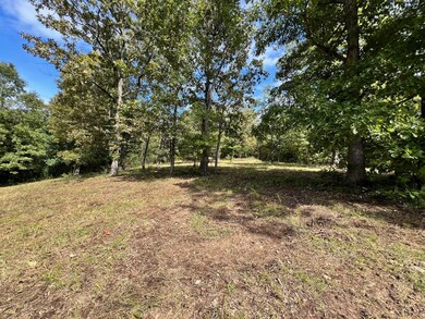 000 Rainbow Valley Trail, Mammoth Spring, AR 72554 - photo 5