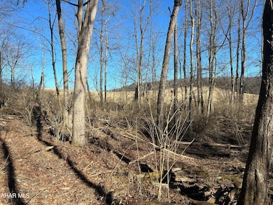 0 Hundred Springs Rd, Warriors Mark Township, PA 16686 - photo 6