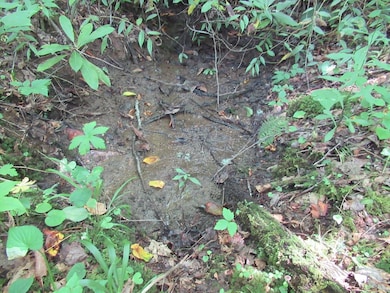 Underground springhead on parcel