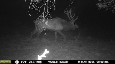 0 Lot E Flanders Subdivision, Driftwood, PA 15832 - photo 3