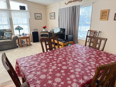 10856 W Gateway Dr, Frankfort, IL 60423 - photo 7