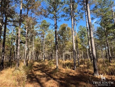 Rd, Luray, SC 29932 - photo 2