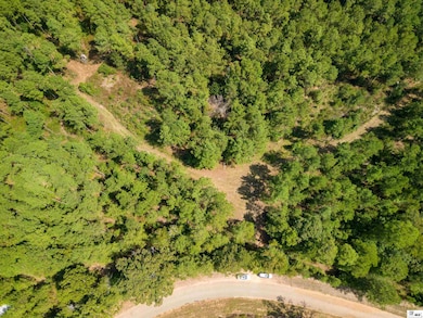 0 Bradford Rd, Choudrant, LA 71227 - photo 7