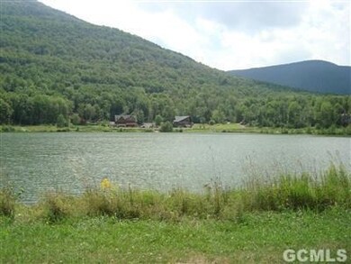 35 Maple Ave, Lanesville, NY 12450 - photo 6