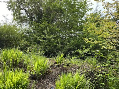 62227 Crown Point Rd, Coos Bay, OR 97420 - photo 4