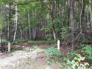 - Cedar Ln, Stewartstown, NH 03597 - photo 4