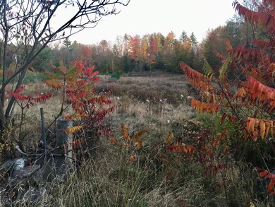 47acres New Dam Rd, Limerick, ME 04048 - photo 4