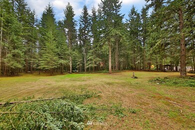 3175 E Andreason Rd, Langley, WA 98260 - photo 3