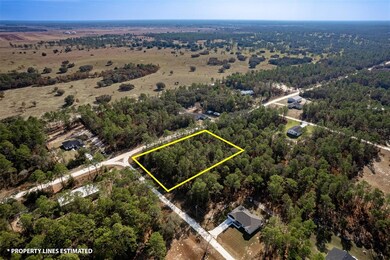 00 SW 75th St, Dunnellon, FL 34431 - photo 6