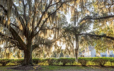 1449 River Rd, Yemassee, SC 29945 - photo 3