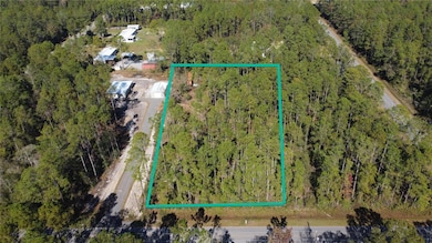 4150 Melanie St, Hastings, FL 32145 - photo 2