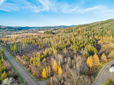 - Hall Stream & White Branch Rd, Pittsburg, NH 03592 - photo 6