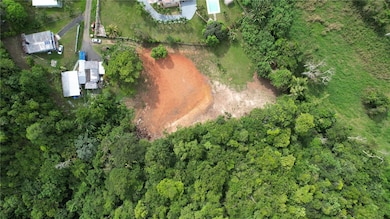 CARR 677 K1 H5 LOTE Bo Espinosa Comm La Pra, Dorado, PR 00646 - photo 3