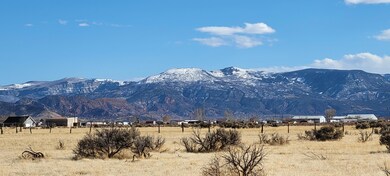 Gomperz View