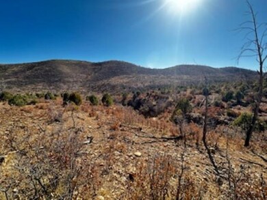 0 16 Springs Canyon Rd unit 171885, Flying H, NM 88339 - photo 3