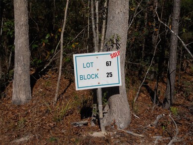 TBD Serene Pass, Huntsville, TX 77340 - photo 5