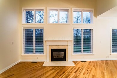 Fireplace and Windows