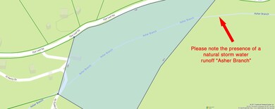 asher_branch