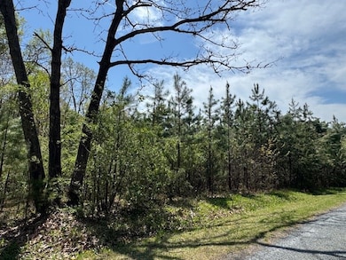 0 Spencer Rd unit 7 57122, Concord, VA 24538 - photo 5