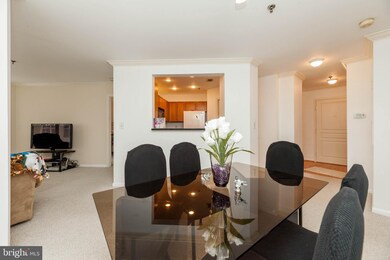 5573 Seminary Rd unit 209, Baileys Crossroads, VA 22041 - photo 5